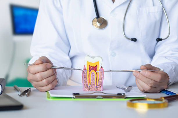 Best Emergency Root Canal Treatment in Gamewell, NC